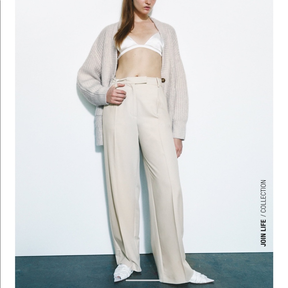 Zara Wide Leg Meanswear Style Pants